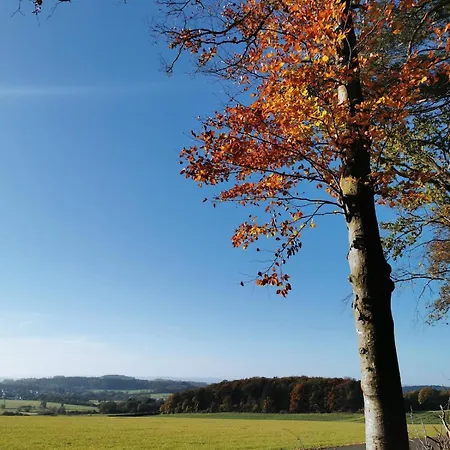 Idyllische Nahe Nuerburgring Lägenhet *
