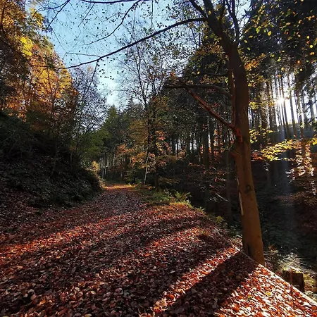Διαμέρισμα Idyllische Nahe Nuerburgring Walsdorf (Rhineland-Palatinate)