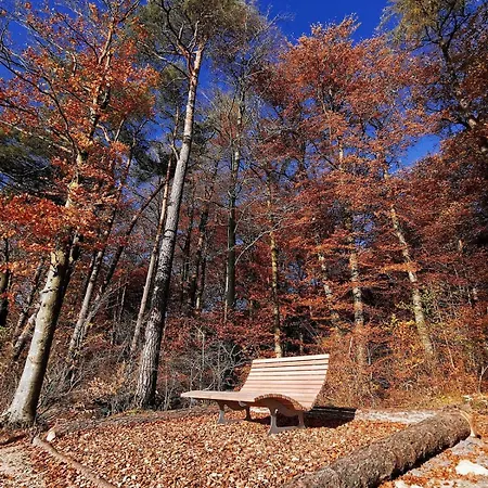 Lägenhet Idyllische Nahe Nuerburgring *