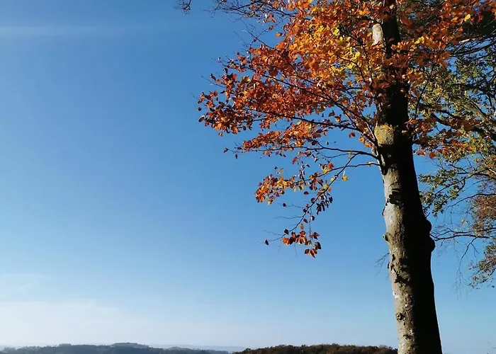 Idyllische Nahe Nuerburgring Appartement *