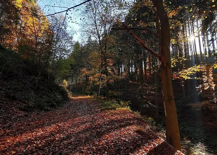 Appartement Idyllische Nahe Nuerburgring Walsdorf (Rhineland-Palatinate)